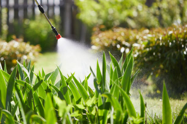 24/7 Emergency Mosquito Control experts in Hugoton, KS