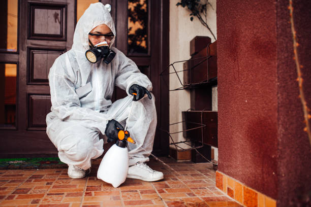 Reliable Mosquito Control contractor in Hugoton, KS by Show Me Pest Control